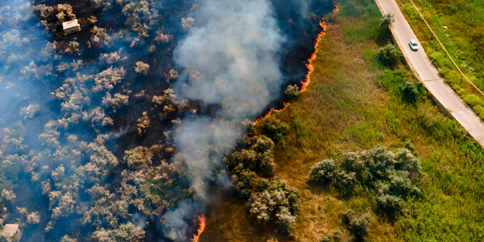Tools to help your business prepare for bushfire season