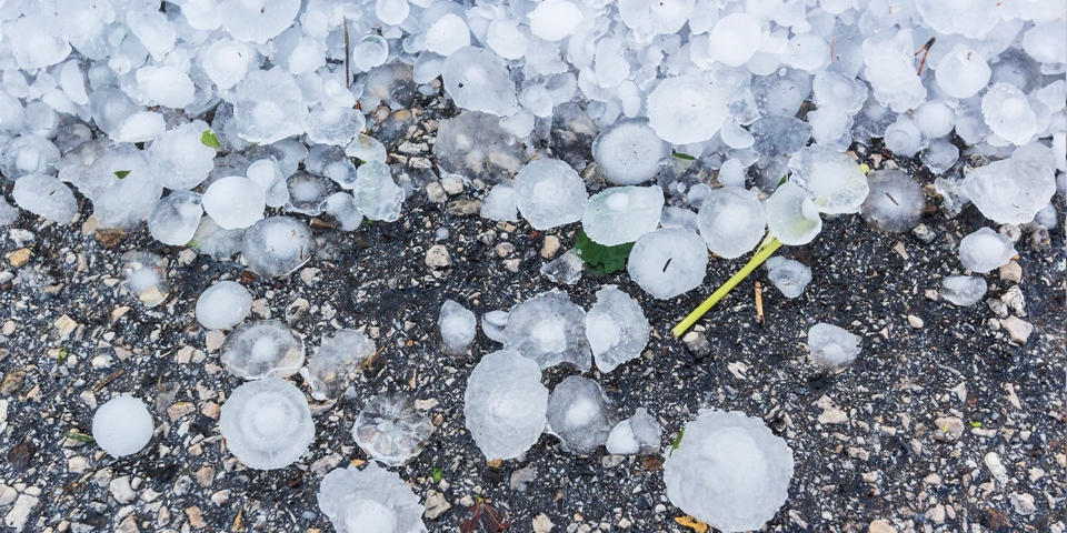 Lessons learned from Sydney's 'catastrophic' storm