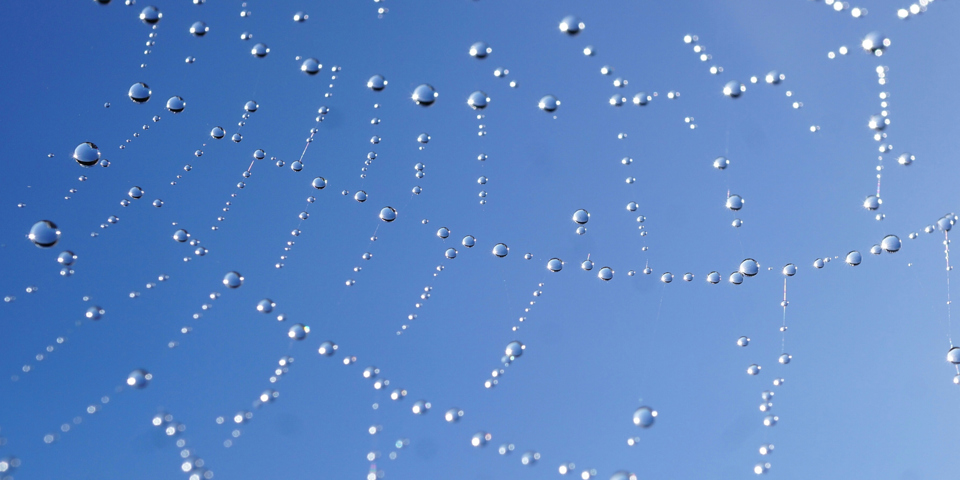 Why you need to make sure your website is trustworthy