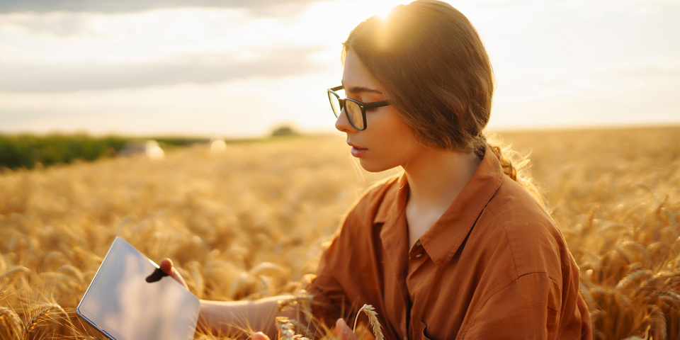 How to help prepare your business for an El Nino summer