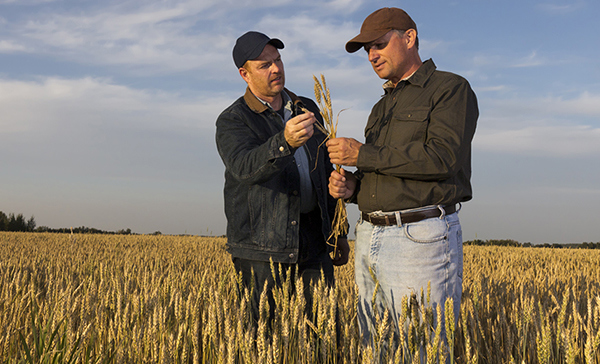 Protecting your assets can save you thousands